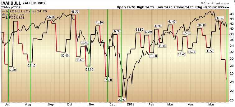 AAII Results:  Bulls on the Run, Time to Buy?