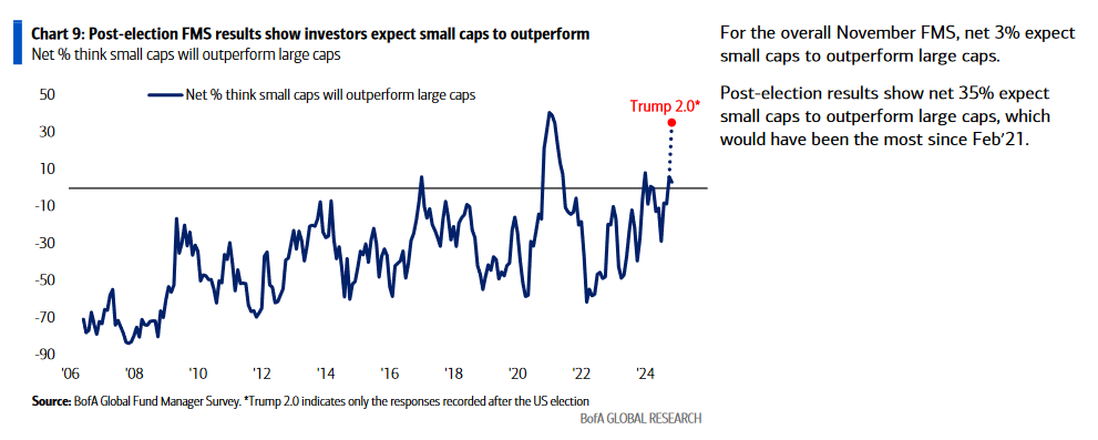 November 2024 Bank of America Global Fund Manager Survey Results (Summary)