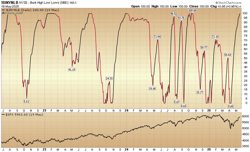 Indicator of the Day (video): Burk High Low Lows