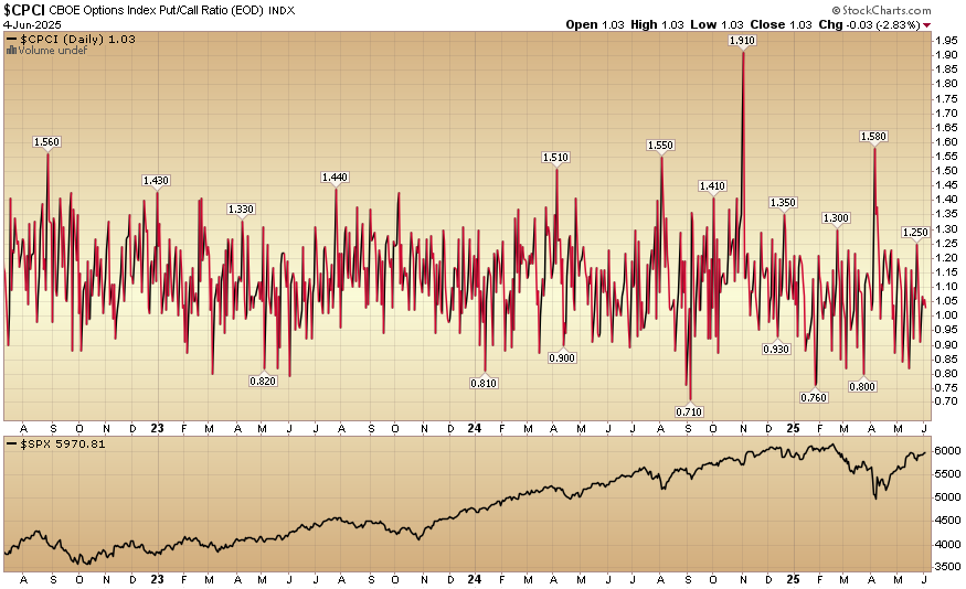 Indicator of the Day (video): CBOE Index Put/Call Ratio